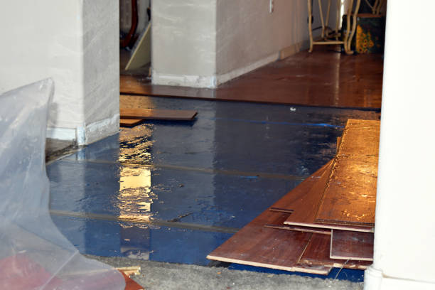 Professional Water Damage Restoration technician working in Madison, NH